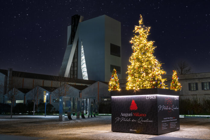 Albero Dils Piazza Adriano Olivetti